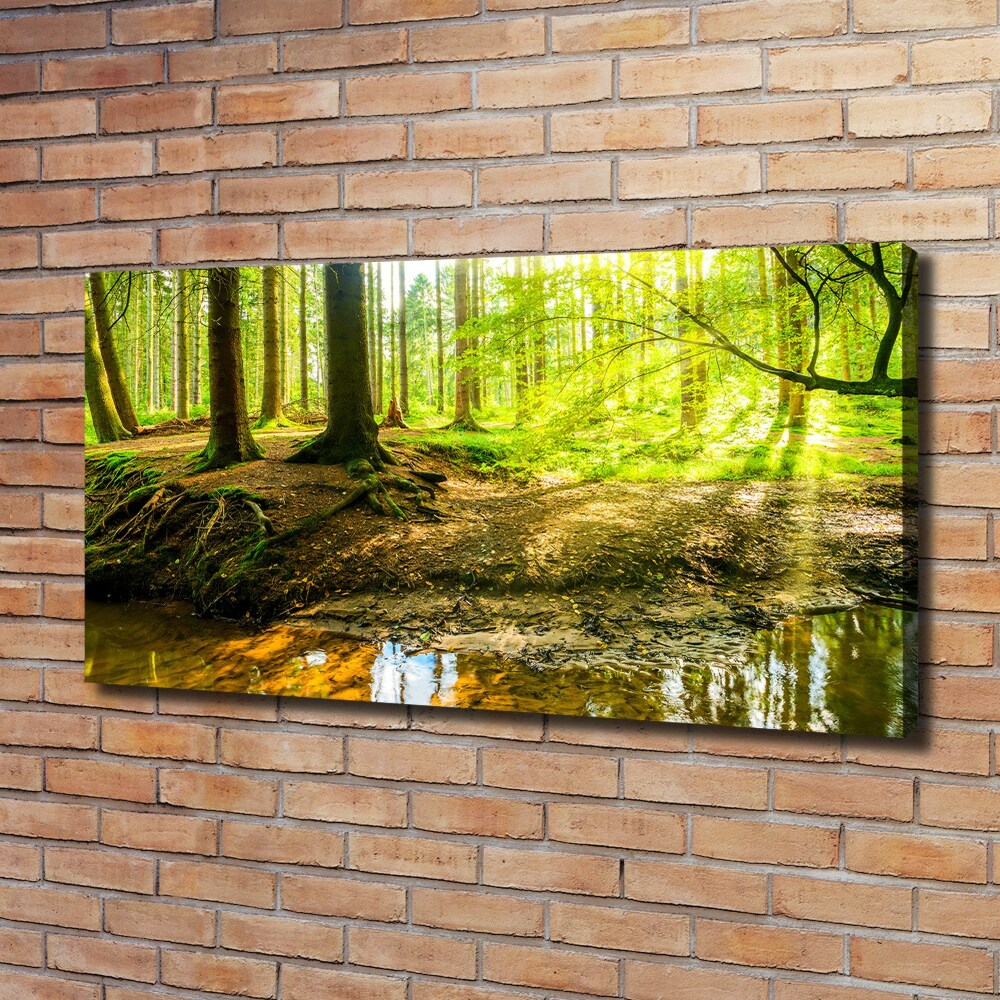 Tableau imprimé sur toile Forêt de soleil