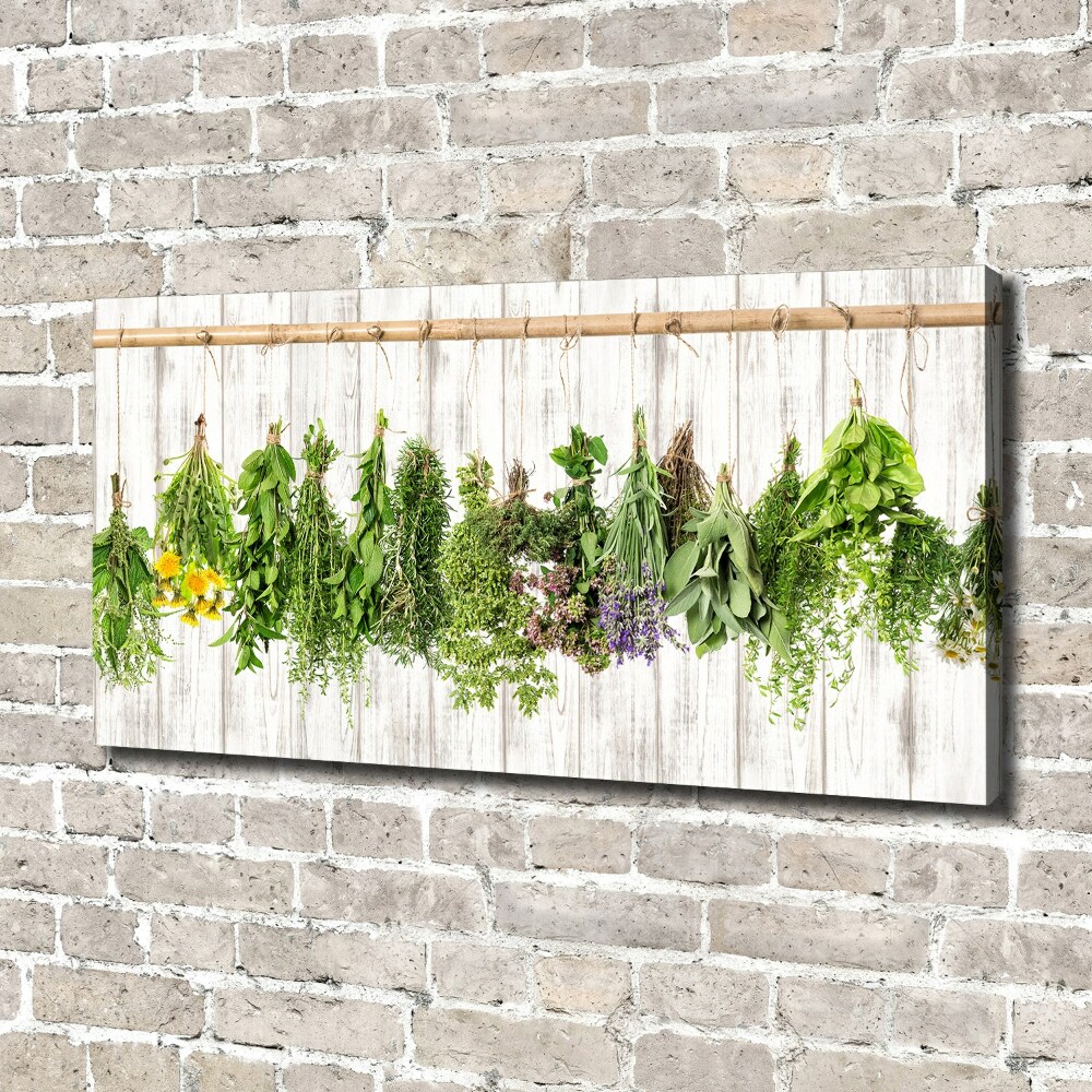 Tableau imprimé sur toile Herbes sur un fil