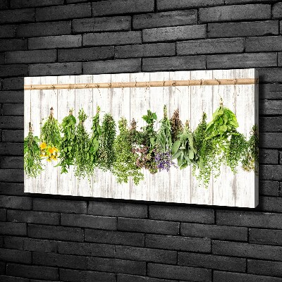 Tableau imprimé sur toile Herbes sur un fil