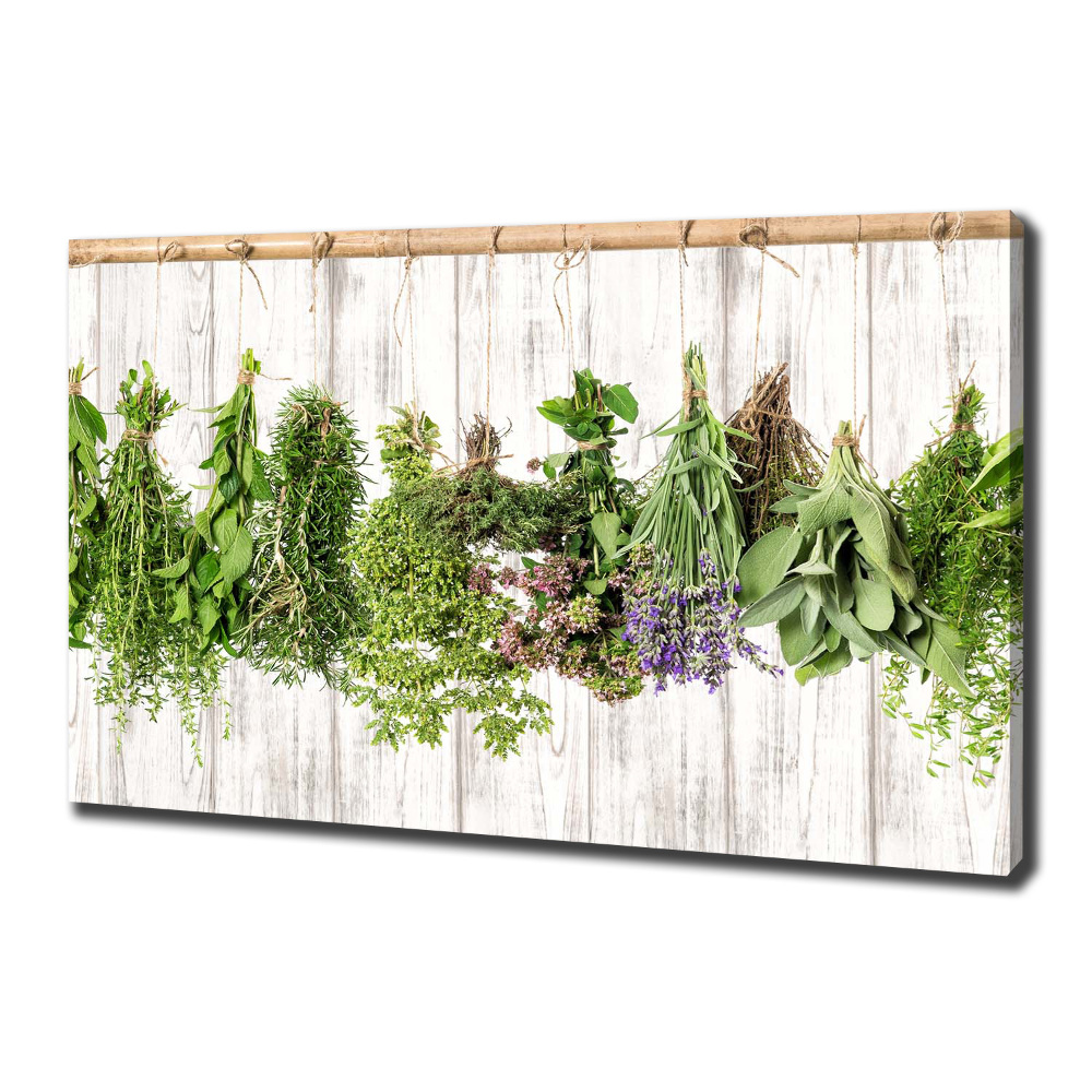 Tableau imprimé sur toile Herbes sur un fil