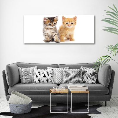 Tableau photo sur toile Chat brun et rouge