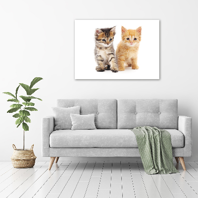 Tableau photo sur toile Chat brun et rouge