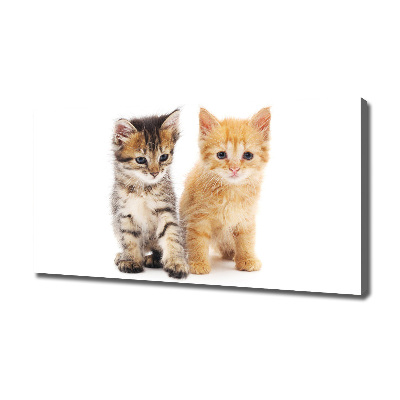 Tableau photo sur toile Chat brun et rouge