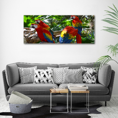 Tableau photo sur toile Perroquets aryens