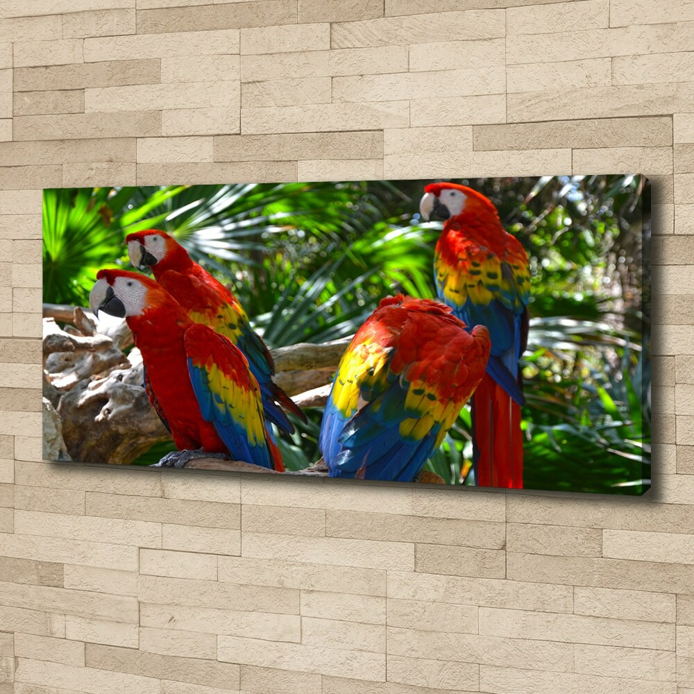 Tableau photo sur toile Perroquets aryens