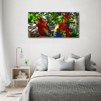 Tableau photo sur toile Perroquets aryens