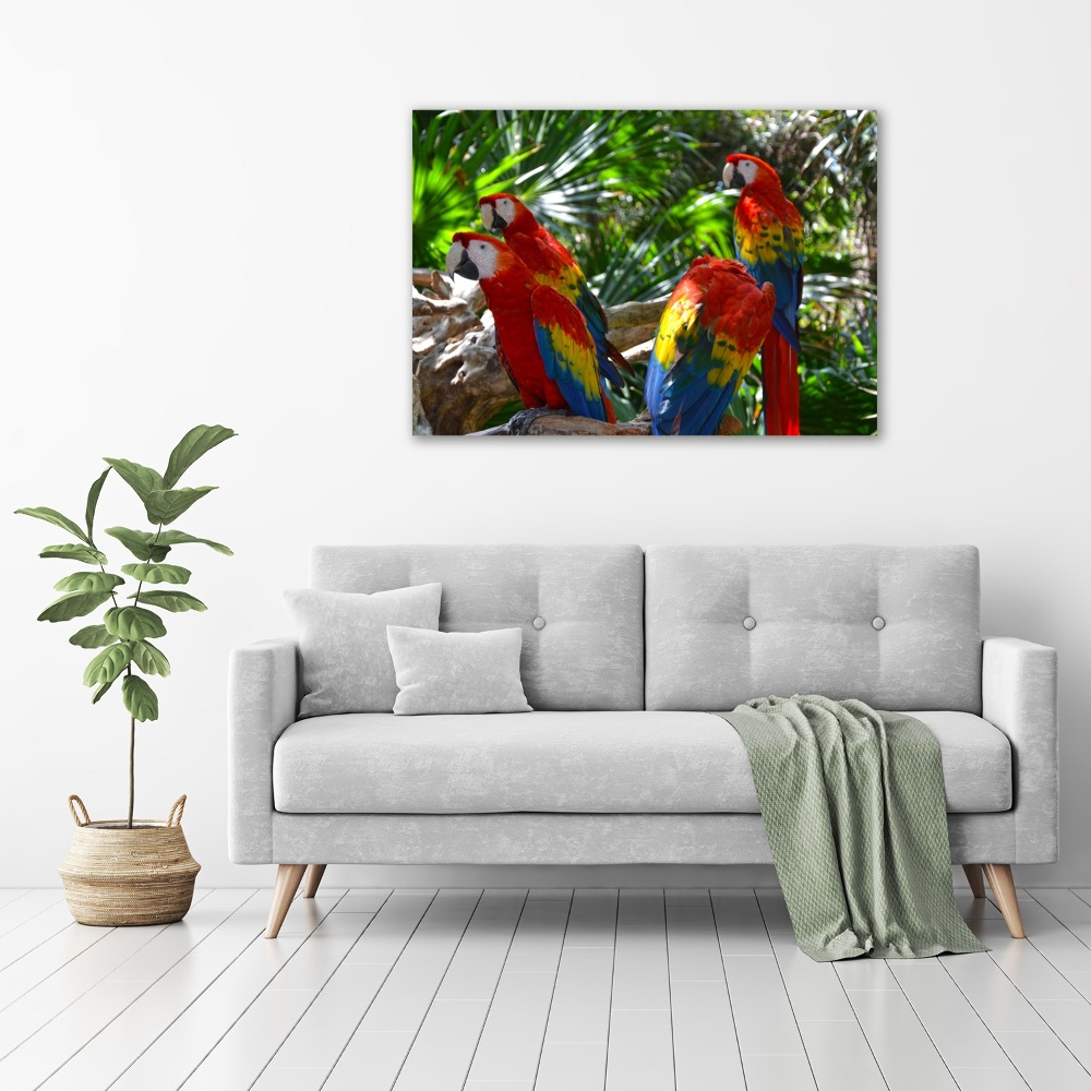 Tableau photo sur toile Perroquets aryens