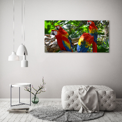 Tableau photo sur toile Perroquets aryens