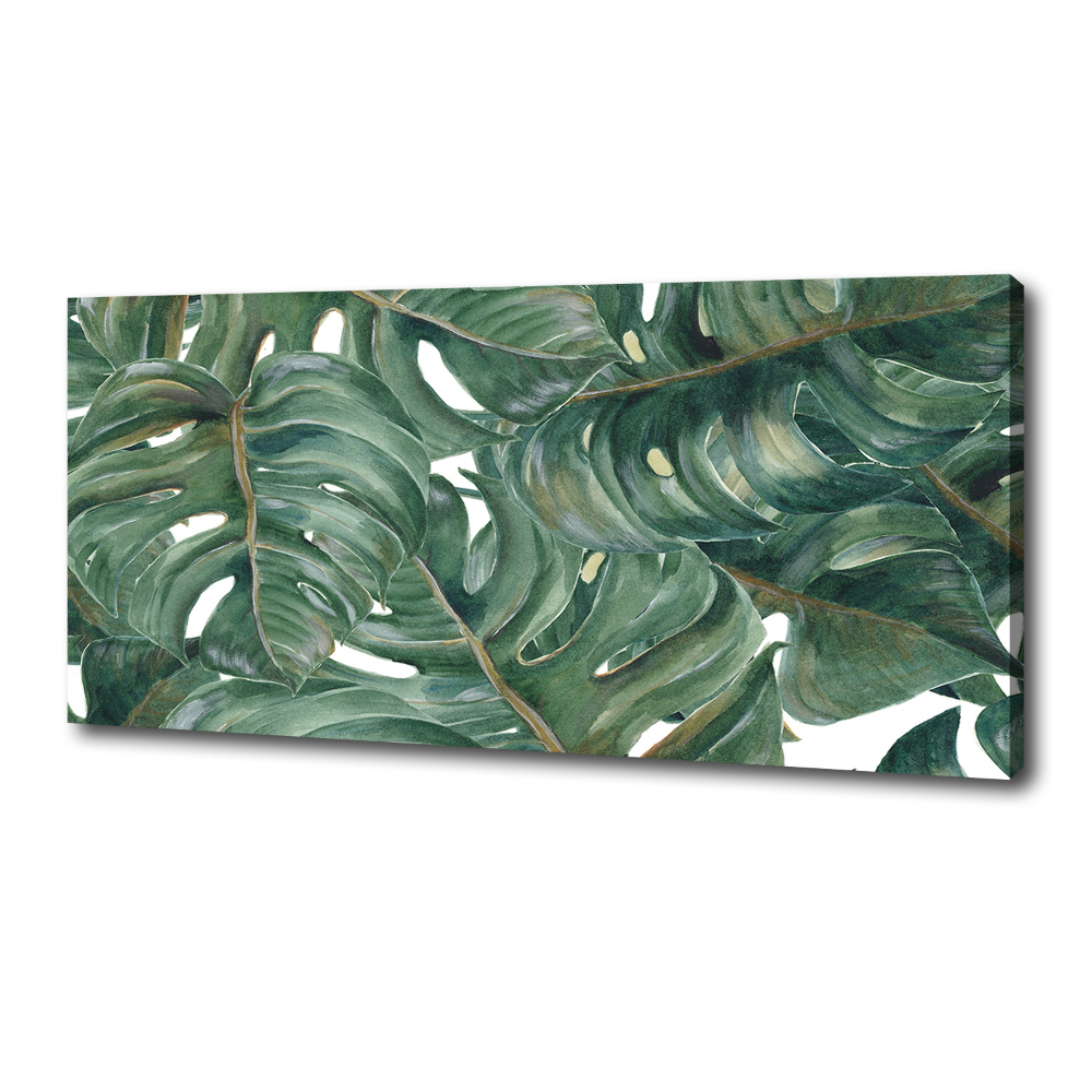 Tableau sur toile Monstera