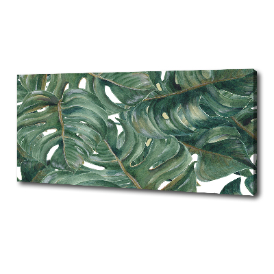 Tableau sur toile Monstera