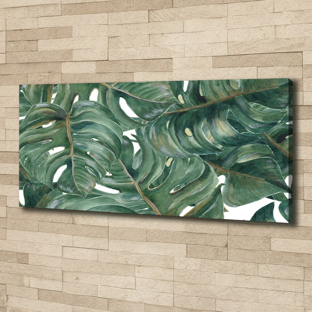 Tableau sur toile Monstera