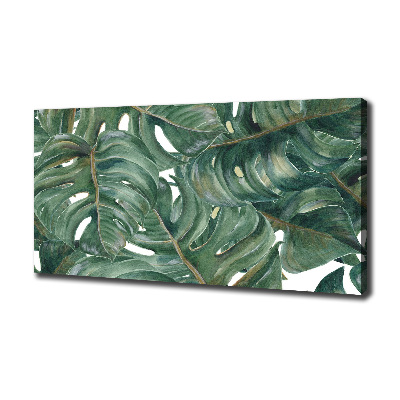 Tableau sur toile Monstera