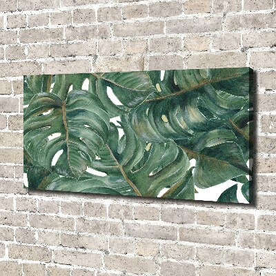 Tableau sur toile Monstera