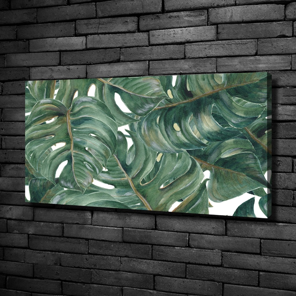 Tableau sur toile Monstera