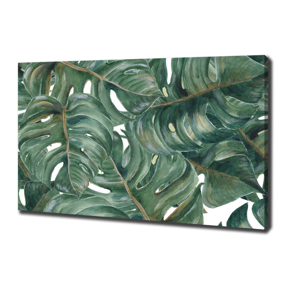 Tableau sur toile Monstera