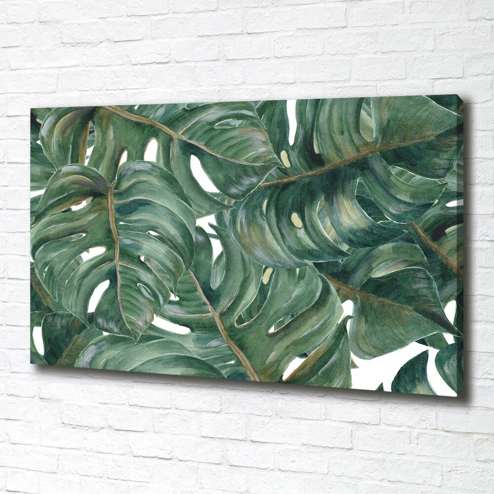 Tableau sur toile Monstera