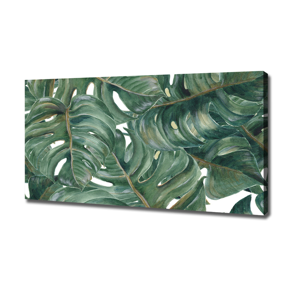 Tableau sur toile Monstera