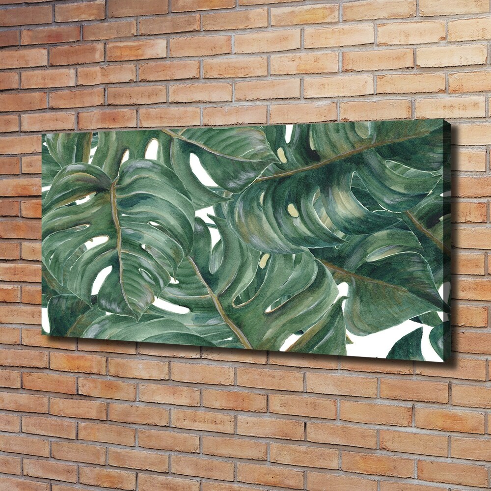 Tableau sur toile Monstera