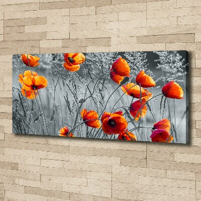 Tableau mural sur toile Coquelicots des champs