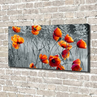 Tableau mural sur toile Coquelicots des champs