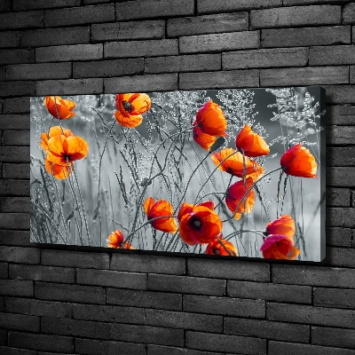 Tableau mural sur toile Coquelicots des champs