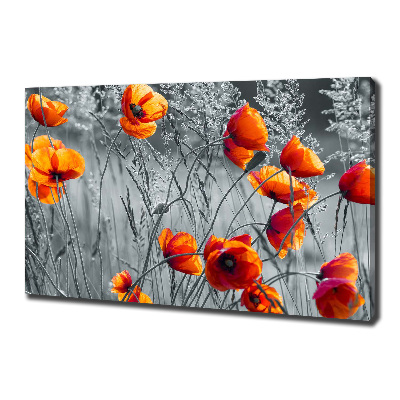 Tableau mural sur toile Coquelicots des champs