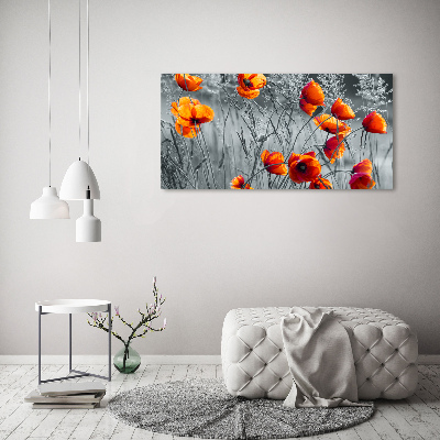 Tableau mural sur toile Coquelicots des champs