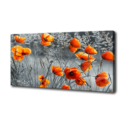 Tableau imprimé sur toile Coquelicots des champs