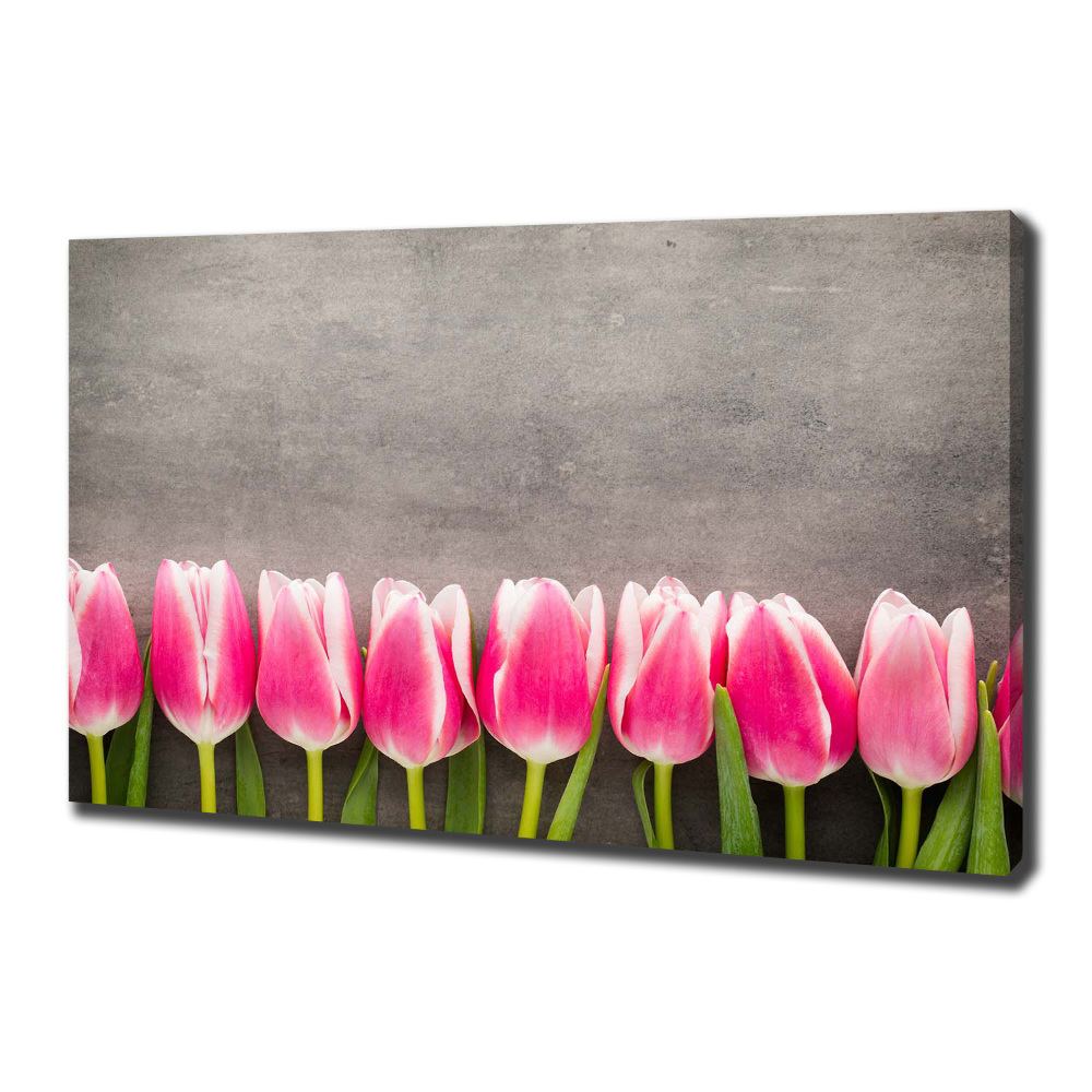 Tableau photo sur toile Tulipes roses