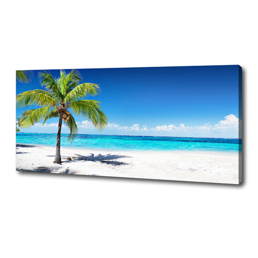 Tableau mural sur toile Plage tropicale