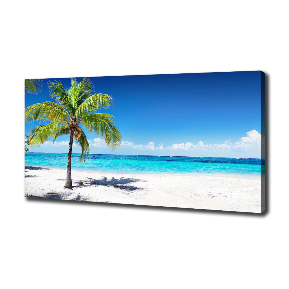 Tableau mural sur toile Plage tropicale