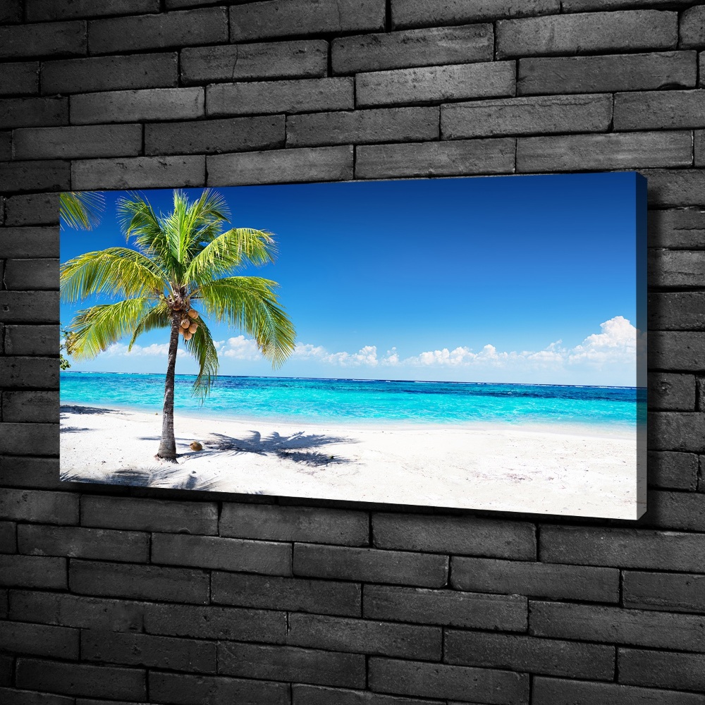 Tableau mural sur toile Plage tropicale