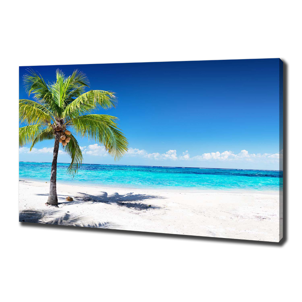 Tableau mural sur toile Plage tropicale