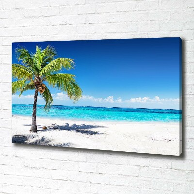 Tableau mural sur toile Plage tropicale