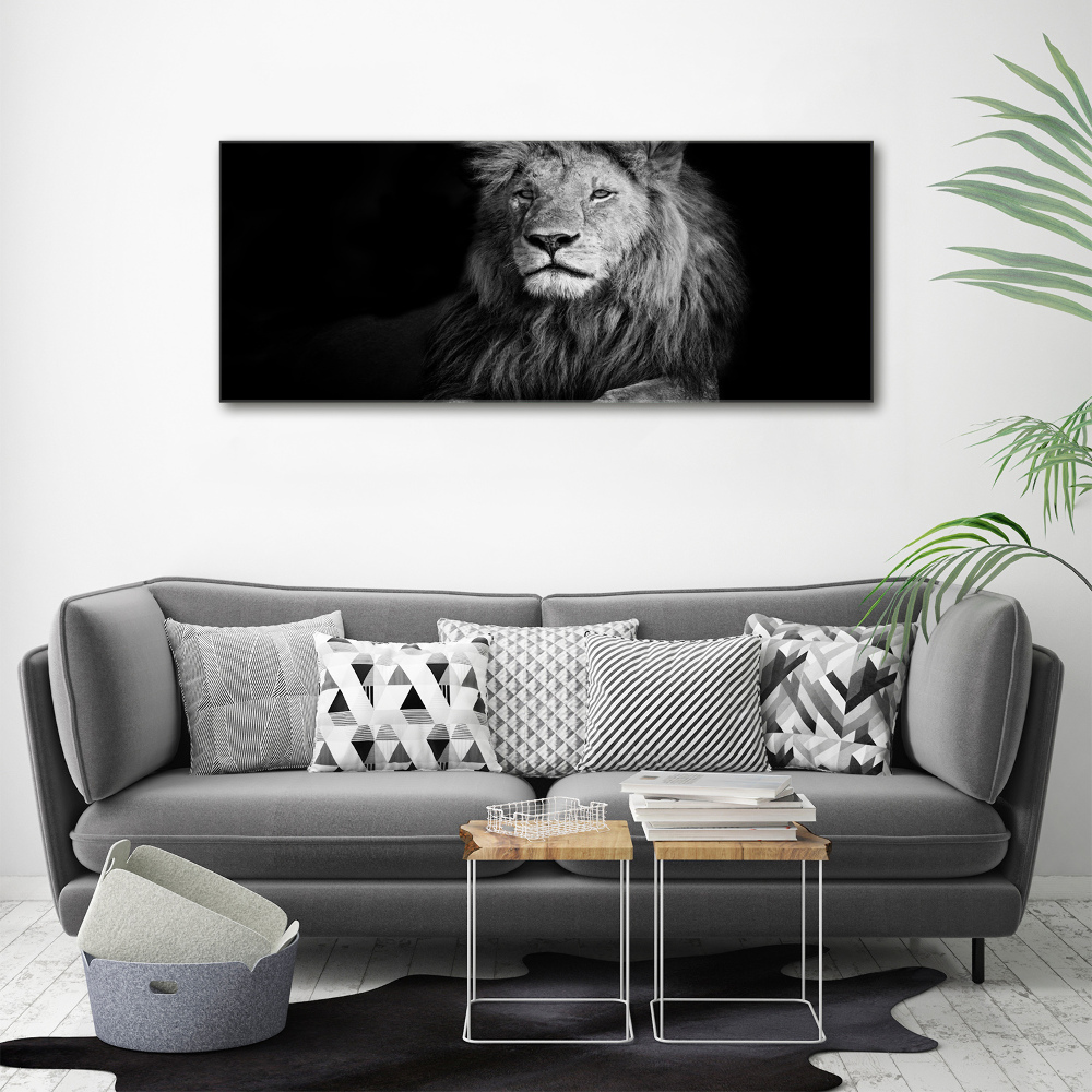 Tableau photo sur toile Lion