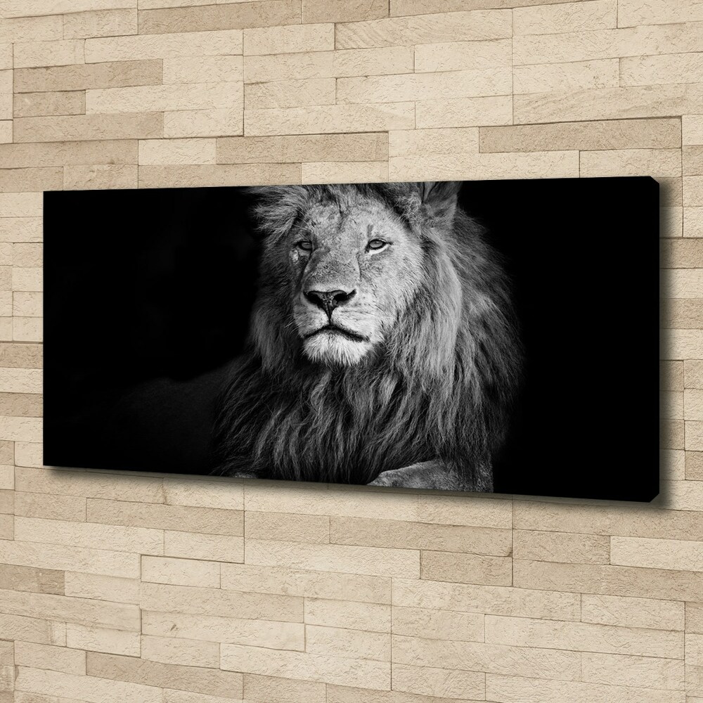 Tableau photo sur toile Lion