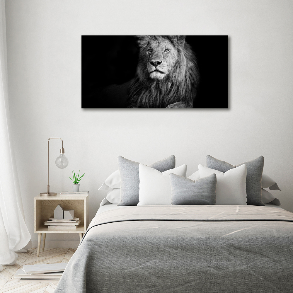 Tableau photo sur toile Lion