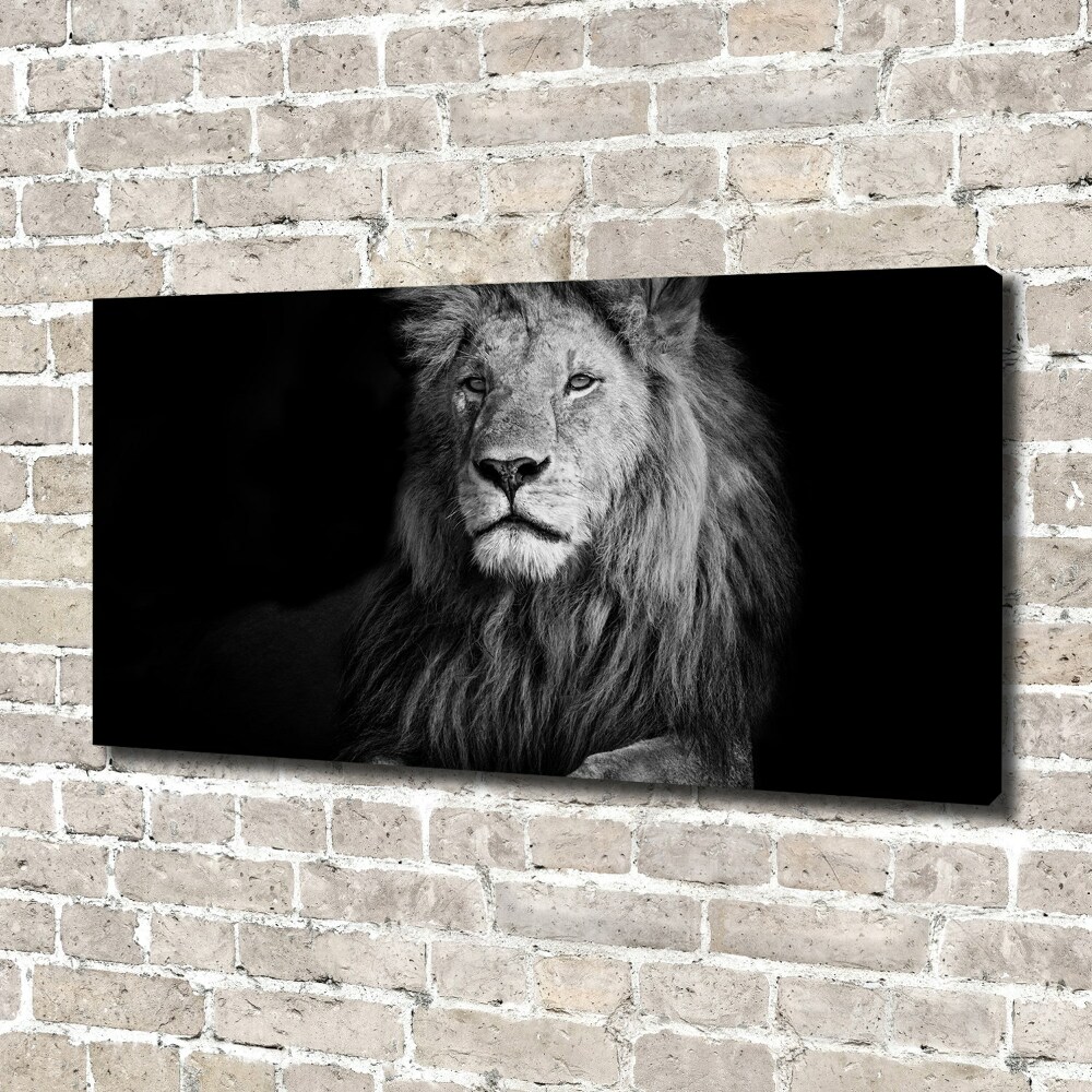 Tableau photo sur toile Lion