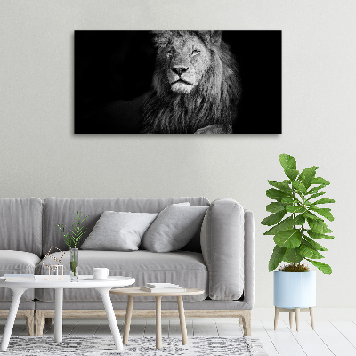 Tableau photo sur toile Lion