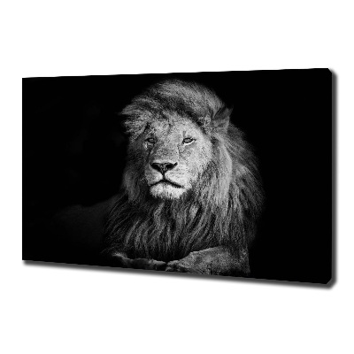 Tableau photo sur toile Lion