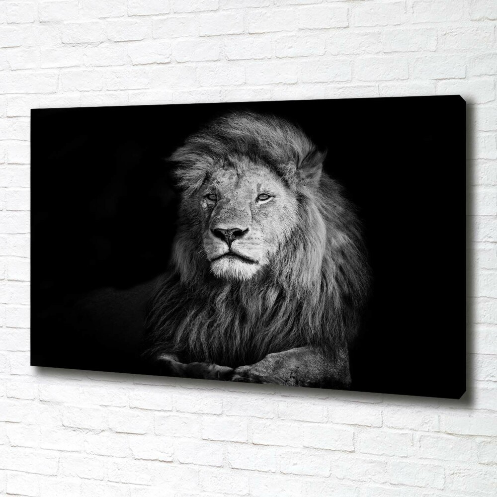 Tableau photo sur toile Lion