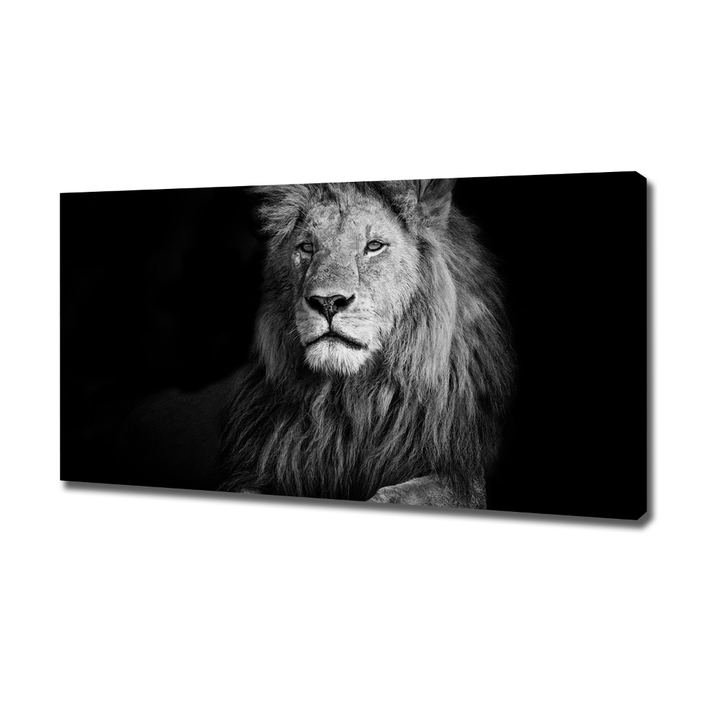 Tableau photo sur toile Lion