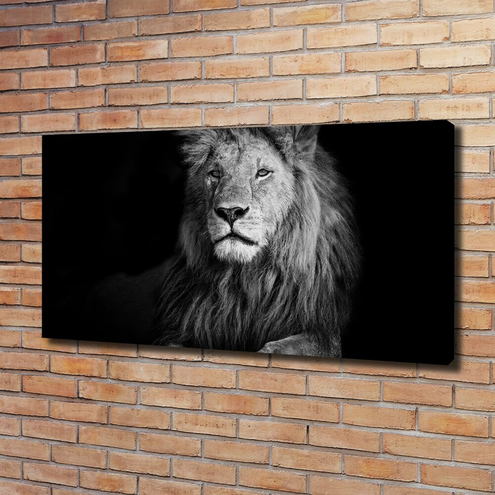 Tableau photo sur toile Lion