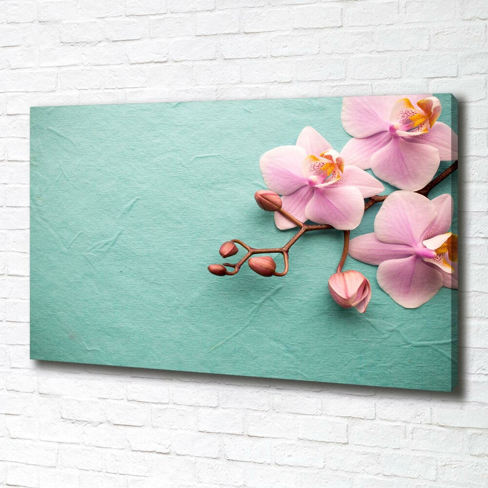 Tableau sur toile Orchidées