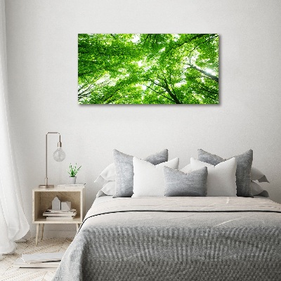 Tableau photo sur toile Forêt verte