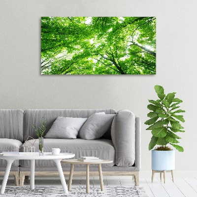 Tableau photo sur toile Forêt verte