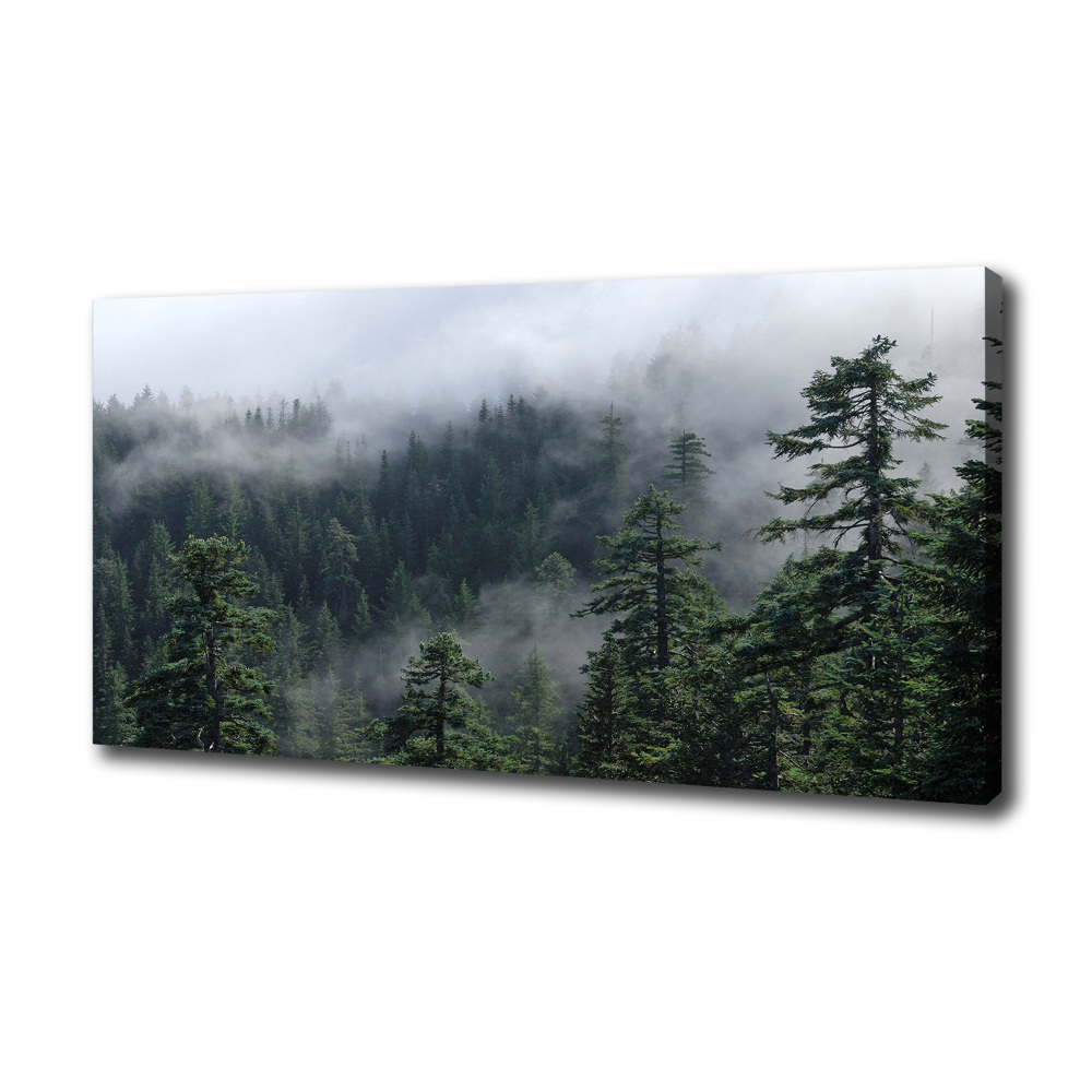 Tableau photo sur toile Brume de forêt