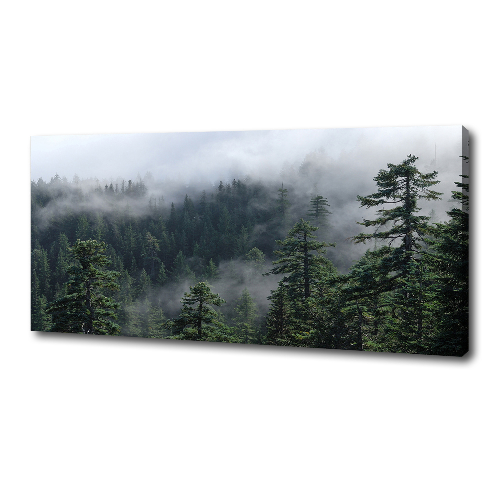 Tableau photo sur toile Brume de forêt