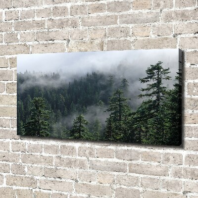 Tableau photo sur toile Brume de forêt