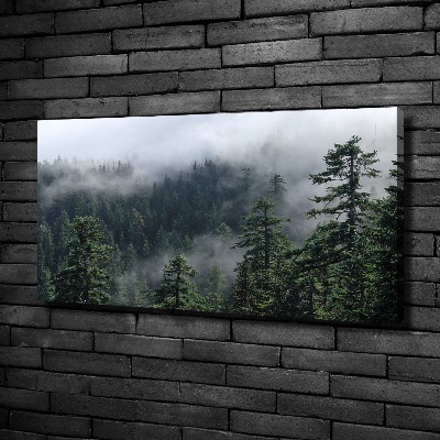 Tableau photo sur toile Brume de forêt